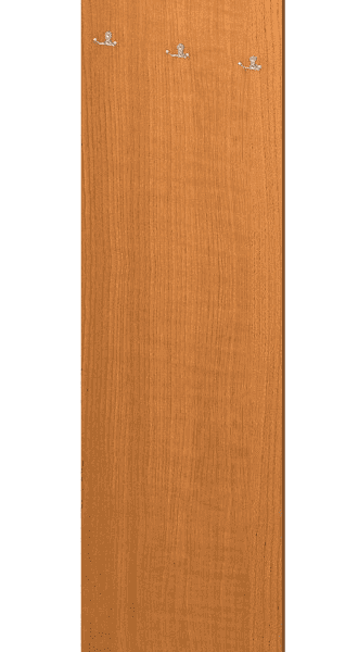 Tempo Kondela Vešiakový panel TEMPO ASISTENT NEW 030 Farba: dub sonoma