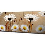 Obraz na plátně Daisies safari PC042 30x80 cm