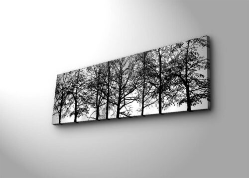 Obraz s LED osvetlením VETVY STROMOV 72 30 x 90 cm Obraz s LED osvetlením VETVY STROMOV 72 30 x 90 cm