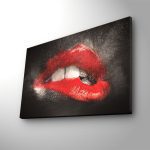 Obraz s LED osvetlením ZMYSELNÉ PERY 64 45 x 70 cm