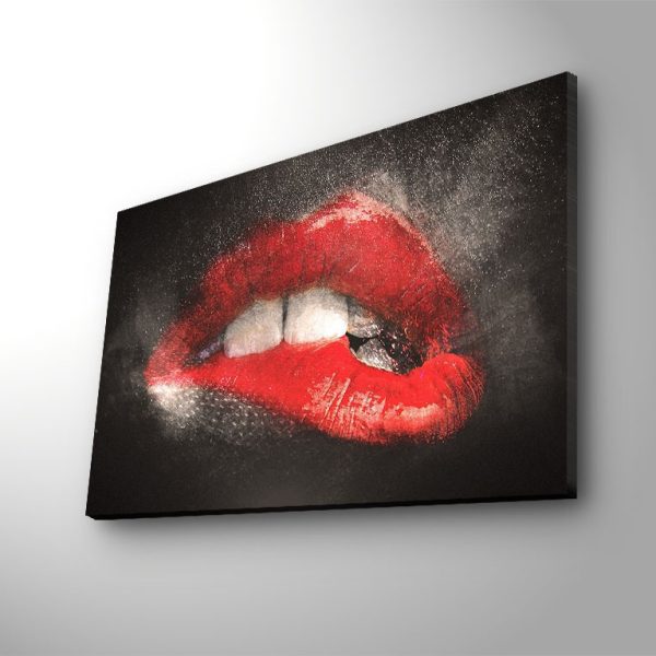 Obraz s LED osvetlením ZMYSELNÉ PERY 64 45 x 70 cm
