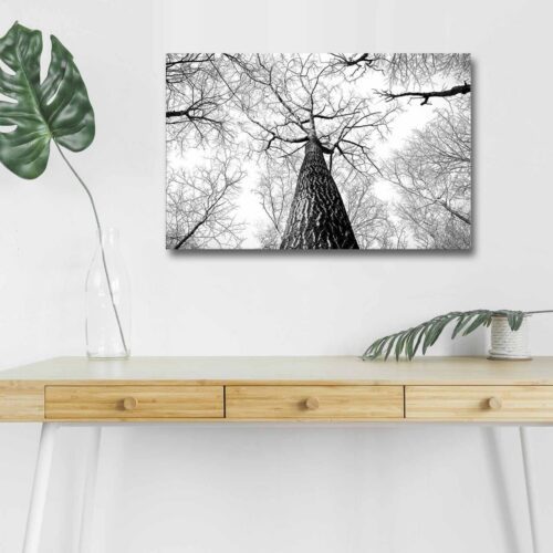 Maľba s LED osvetlením TREE ROOT 68 45 x 70 cm Maľba s LED osvetlením TREE ROOT 68 45 x 70 cm
