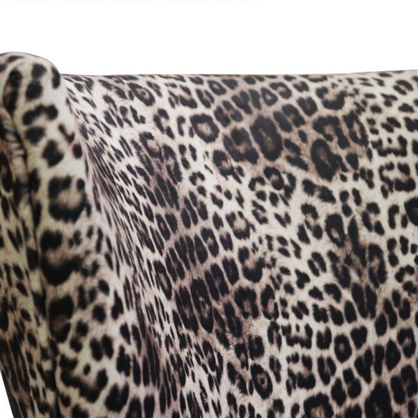 Panthera 1
