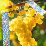 Páska na odplašenie vtákov SPRINGOS GA0005 – Obrázok 2