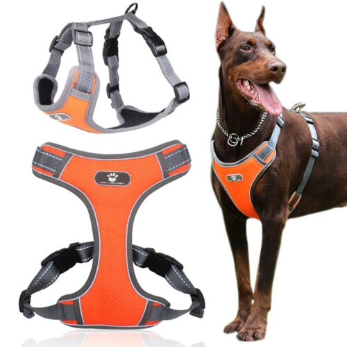 Postroj pre psov Astro XL oranžový Postroj pre psov Astro XL oranžový