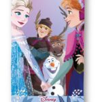 Detská bavlnená osuška Robin Frozen 70x140 cm viacfarebná