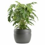 Kvetináč LUNA Classic 40 cm antracitový