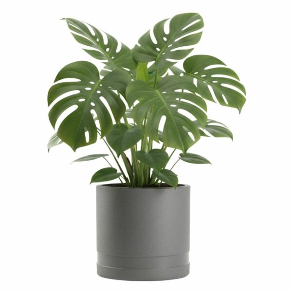 Kvetináč LUNA Cylinder 30