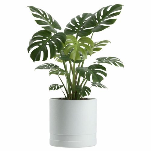 Kvetináč LUNA Cylinder 30 Kvetináč LUNA Cylinder 30