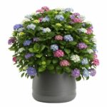Kvetináč LUNA Vase 42 cm antracitový
