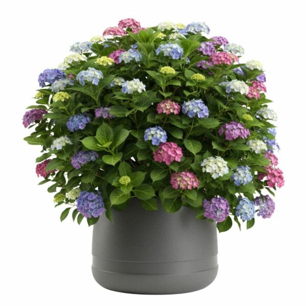 Kvetináč LUNA Vase 42 cm antracitový