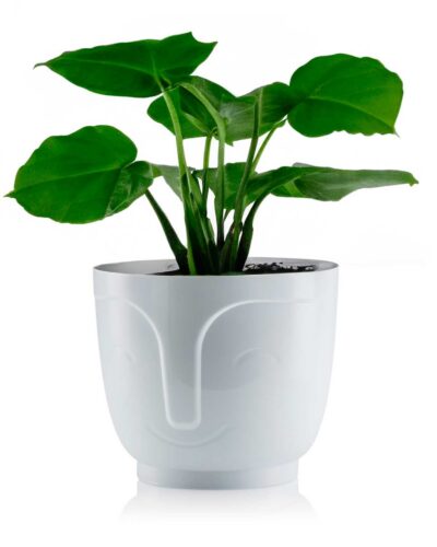 Kvetináč ZOE 16 cm biely Kvetináč ZOE 16 cm biely