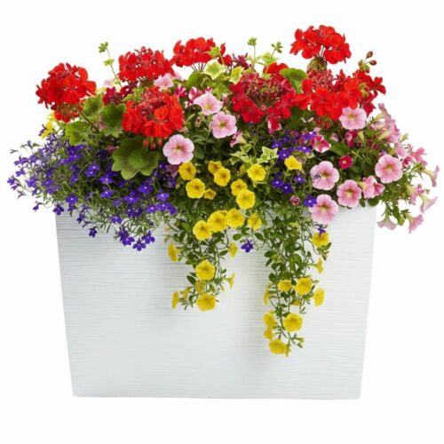 Plastový kvetináč Bloom Riflo 36 Plastový kvetináč Bloom Riflo 36