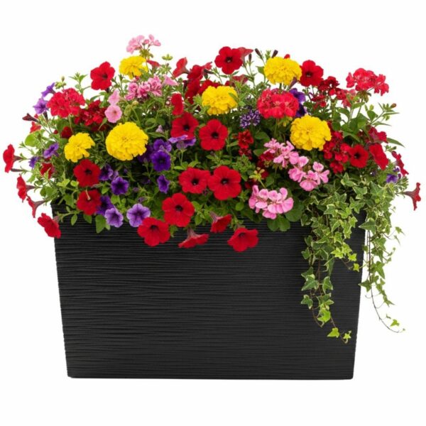 Plastový kvetináč Bloom Riflo 36