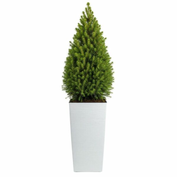 Plastový kvetináč Porto Riflo 75x39
