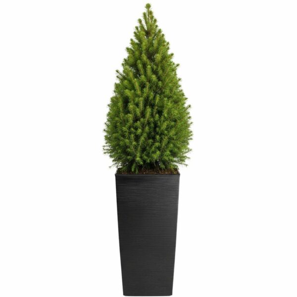 Plastový kvetináč Porto Riflo 75x39