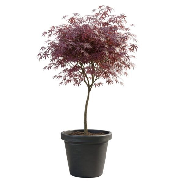 Plastový kvetináč Riflo 47
