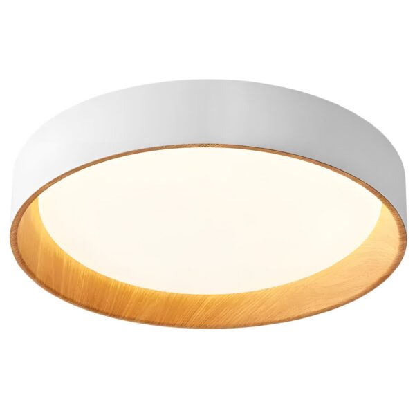 Stropné LED svietidlo G116-C biela/neutrálna biela
