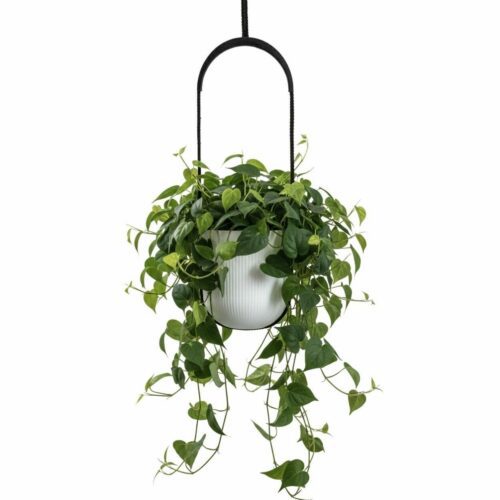 Závesný kvetináč AERA HANG 17 Závesný kvetináč AERA HANG 17