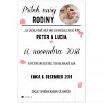 Darček pre celú rodinu. Vytvorte si obraz