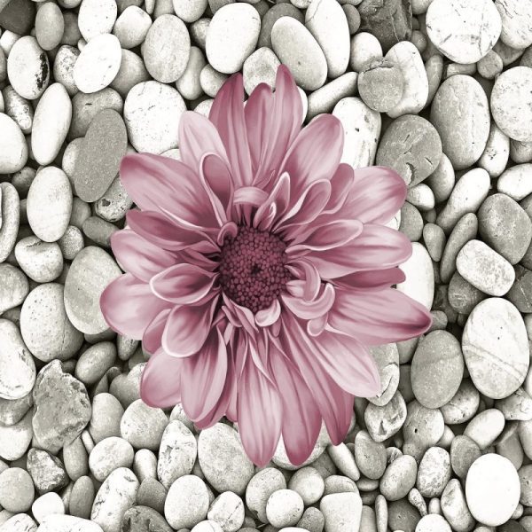 Koberec Bloom 60x100 cm šedý/růžový