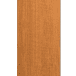 Tempo Kondela Vešiakový panel TEMPO ASISTENT NEW 030 Farba: dub sonoma