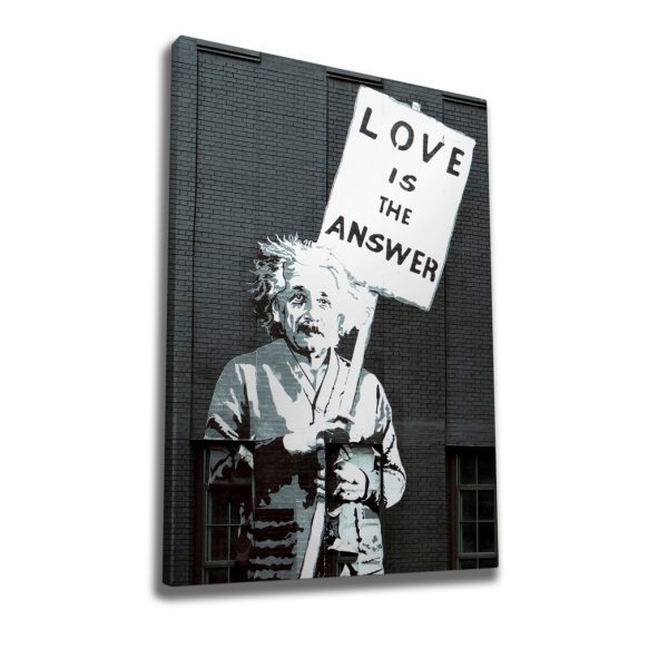 Obraz na plátně Einstein WY32 50x70 cm