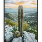 Obraz kaktus A 60x90 cm viacfarebný
