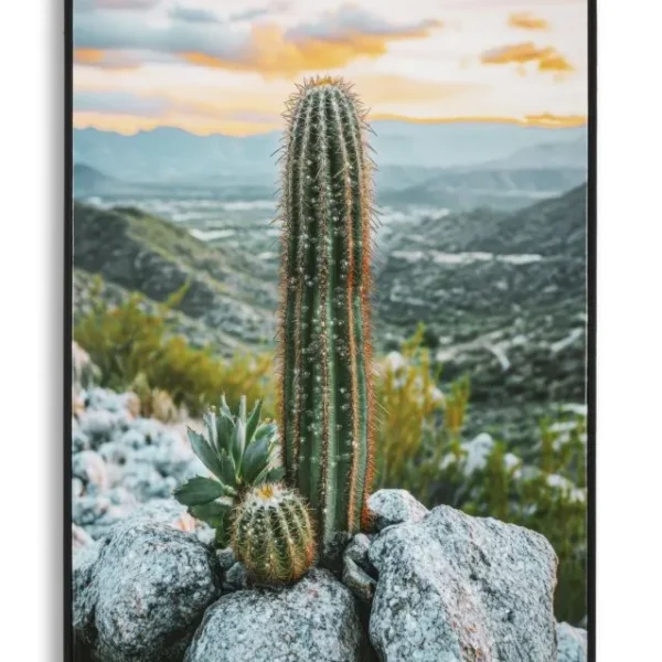 Obraz kaktus A 60x90 cm viacfarebný