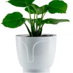 Kvetináč ZOE 16 cm biely