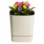 Plastový kvetináč s podmiskou Cubi 16x16 cm - výber z 6 prevedení