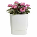 Plastový kvetináč s podmiskou Cubi 16x16 cm - výber z 6 prevedení